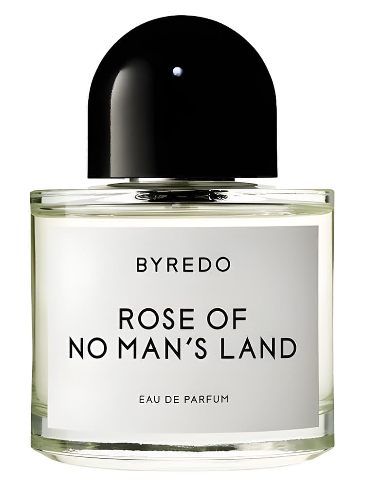 Rose Of No Man s Land