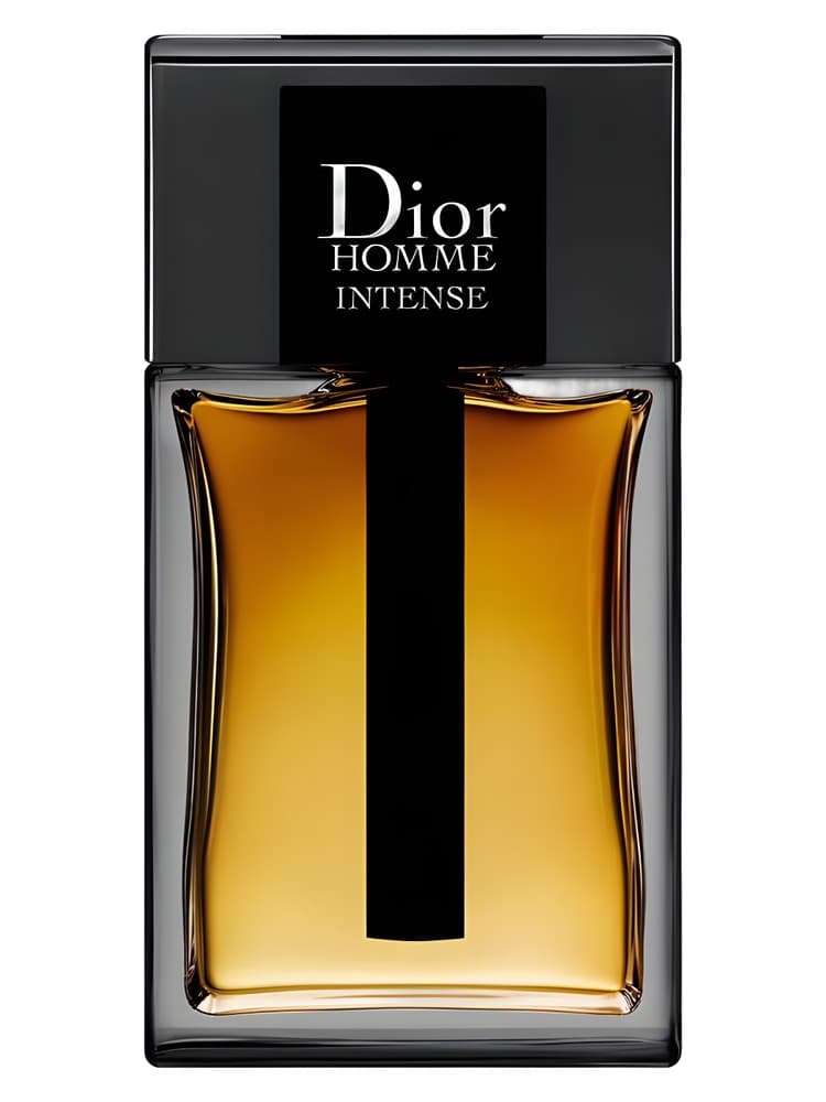Dior Homme Intense 2011