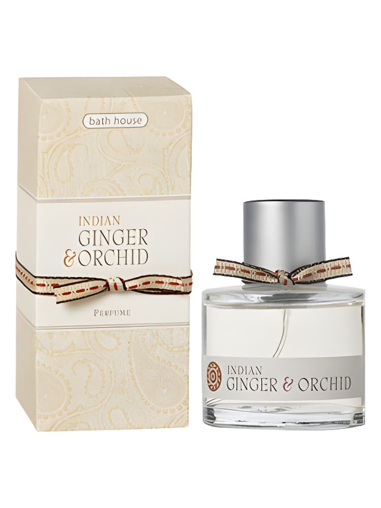 Indian Ginger and Orchid