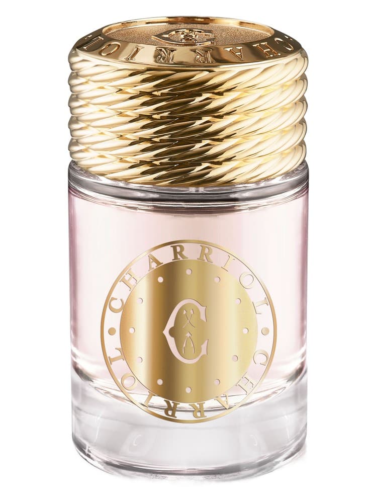 Infinite Celtic For Women