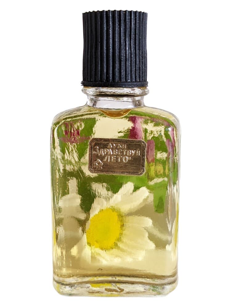 Zdravstvuj leto Hello Summer