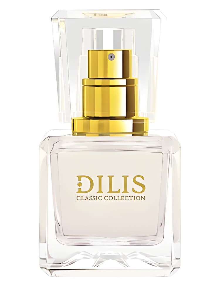 Dilis Classic Collection No 6