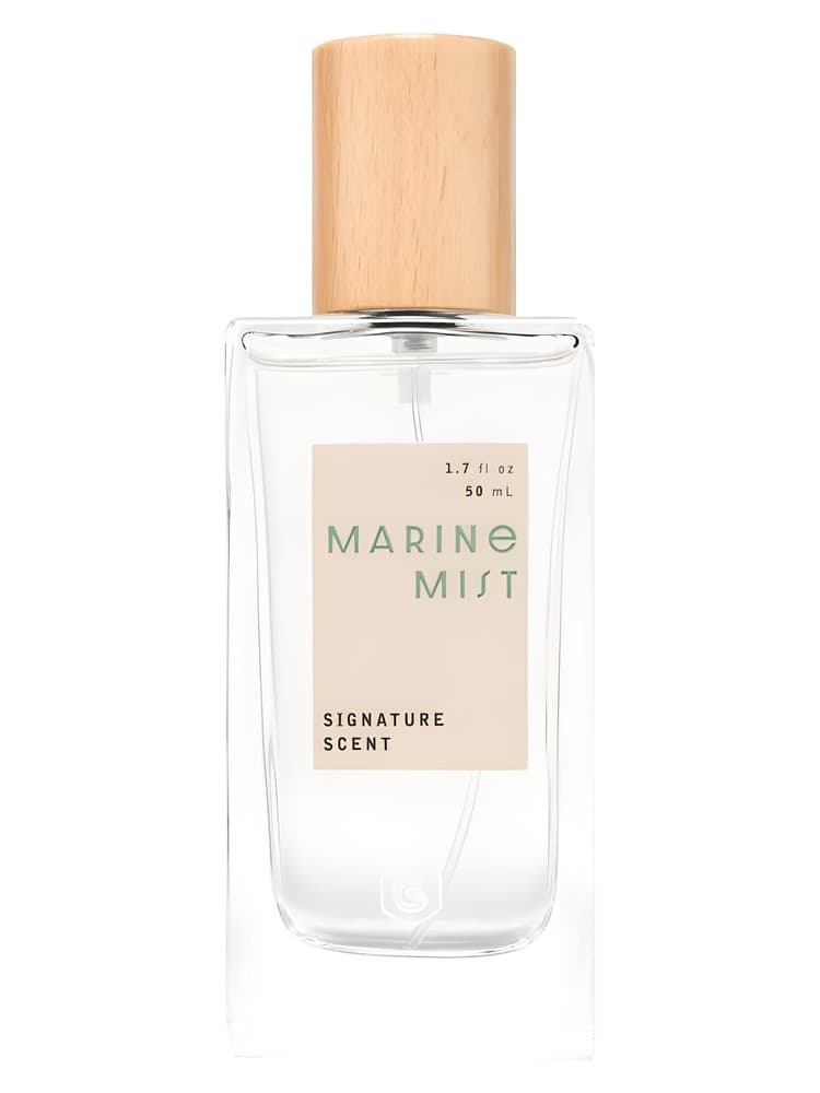 Marine Mist