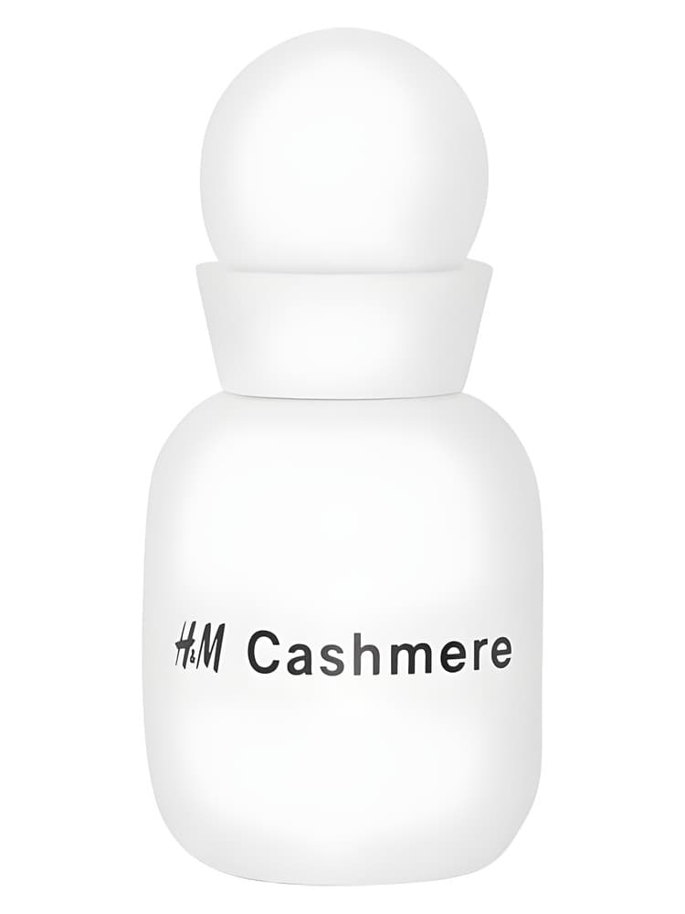 Cashmere