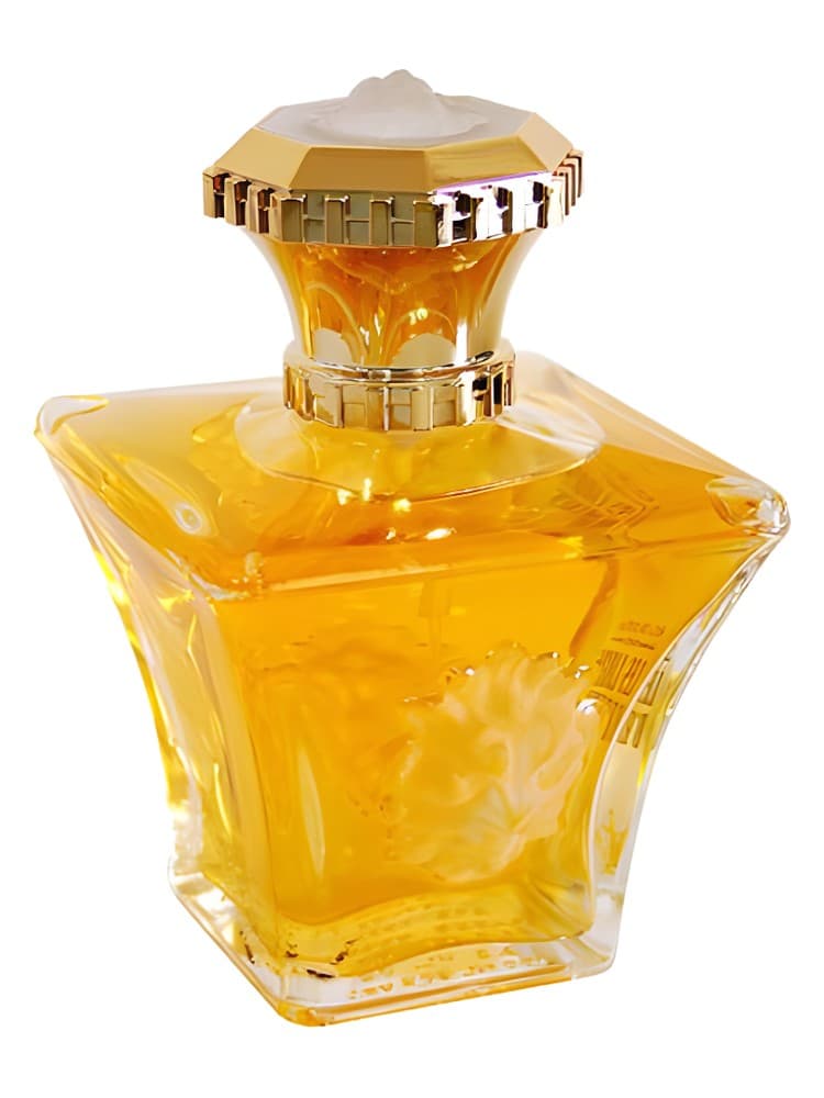 Les Lions D Arthes 2001