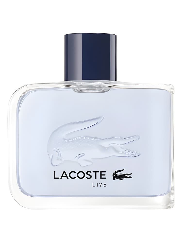 Lacoste L ive