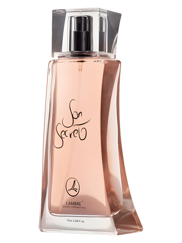 Son Secret