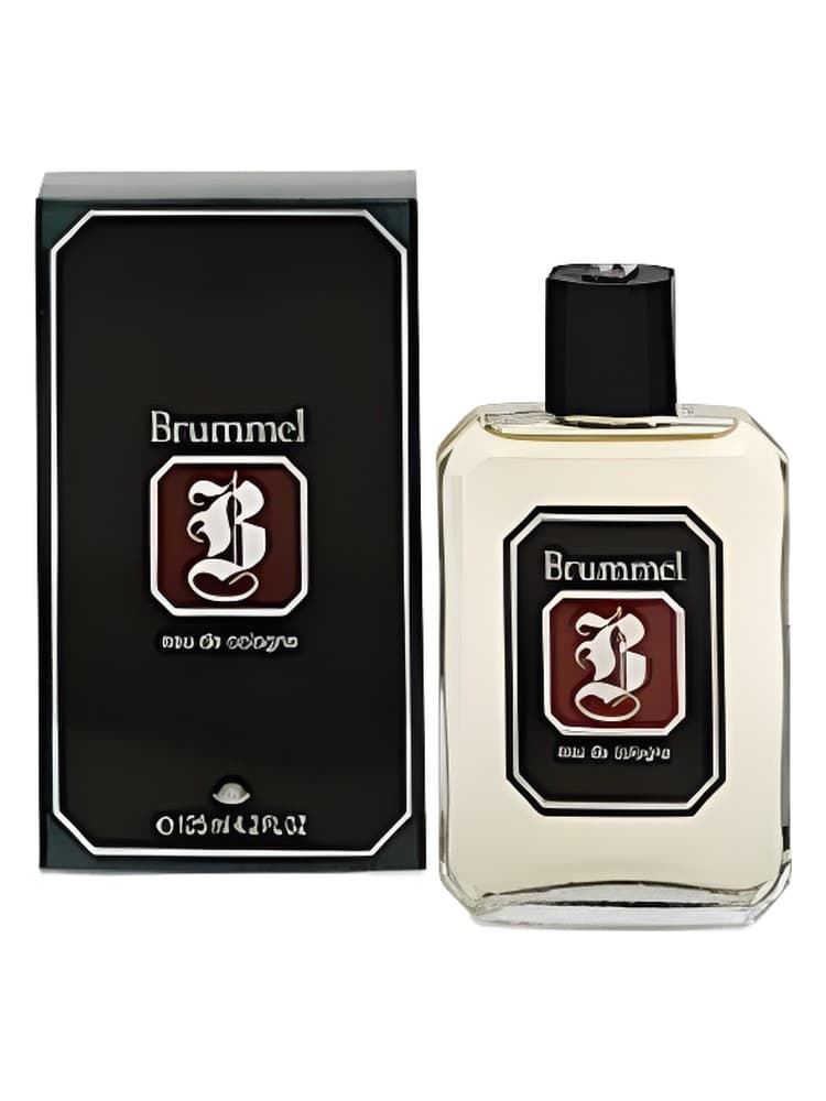 Brummel