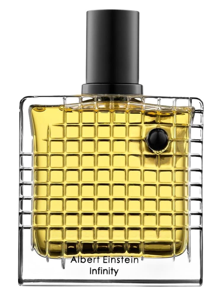 Albert Einstein Infinity