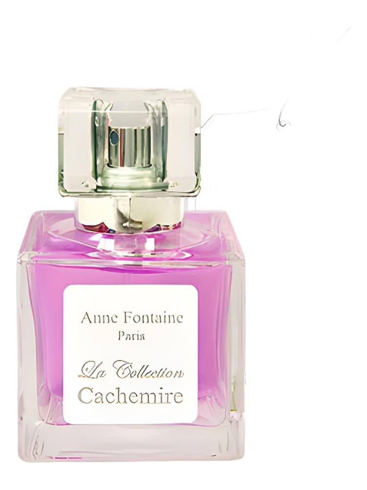 La Collection Cachemire