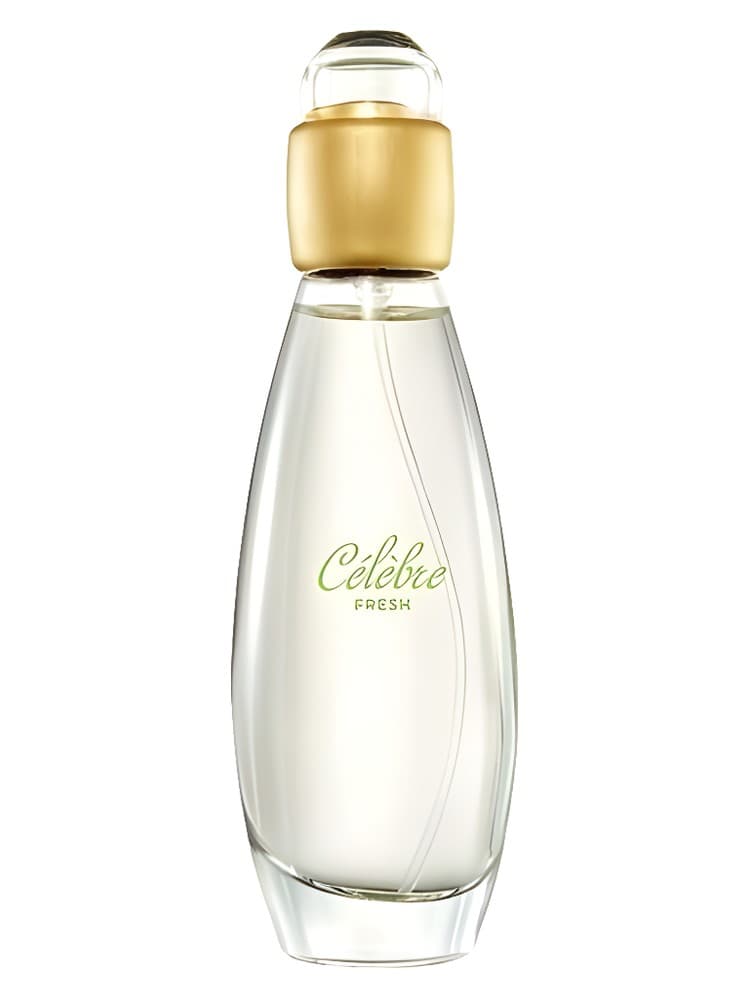 Celebre Fresh