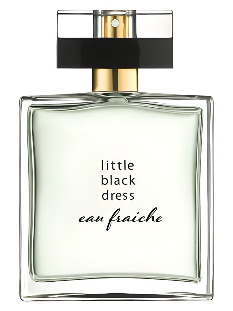 Little Black Dress Eau Fraiche