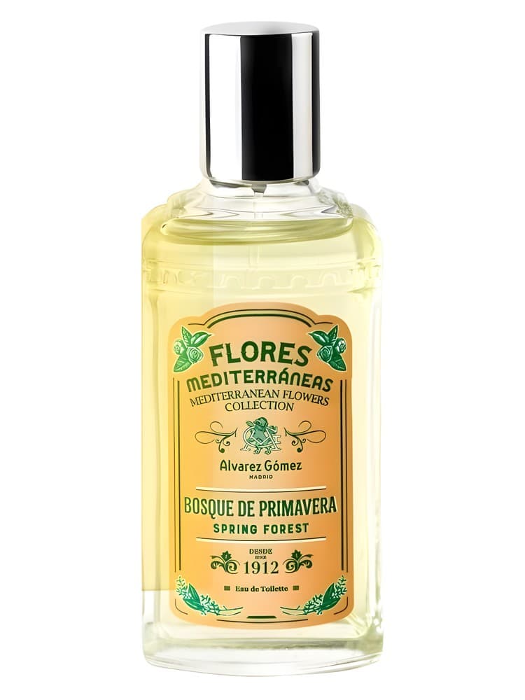 Bosque de Primavera Spring Forest