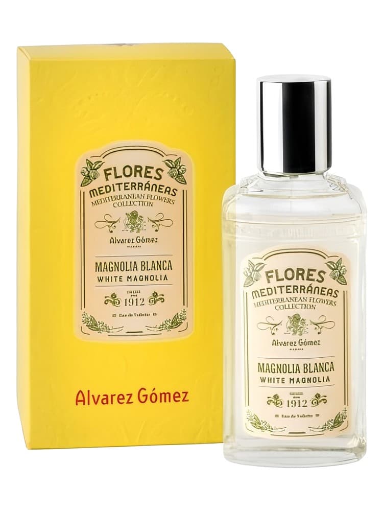 Magnolia Blanca White Magnolia