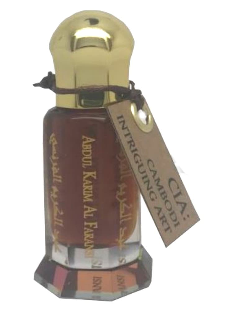 CIA Cambodi Intriguing Art