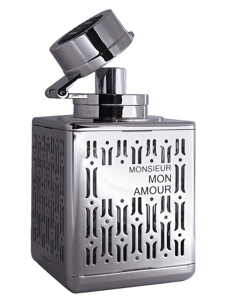 Monsieur mon Amour