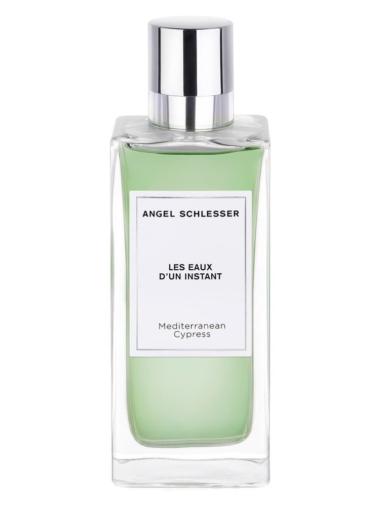 Mediterranean Cypress