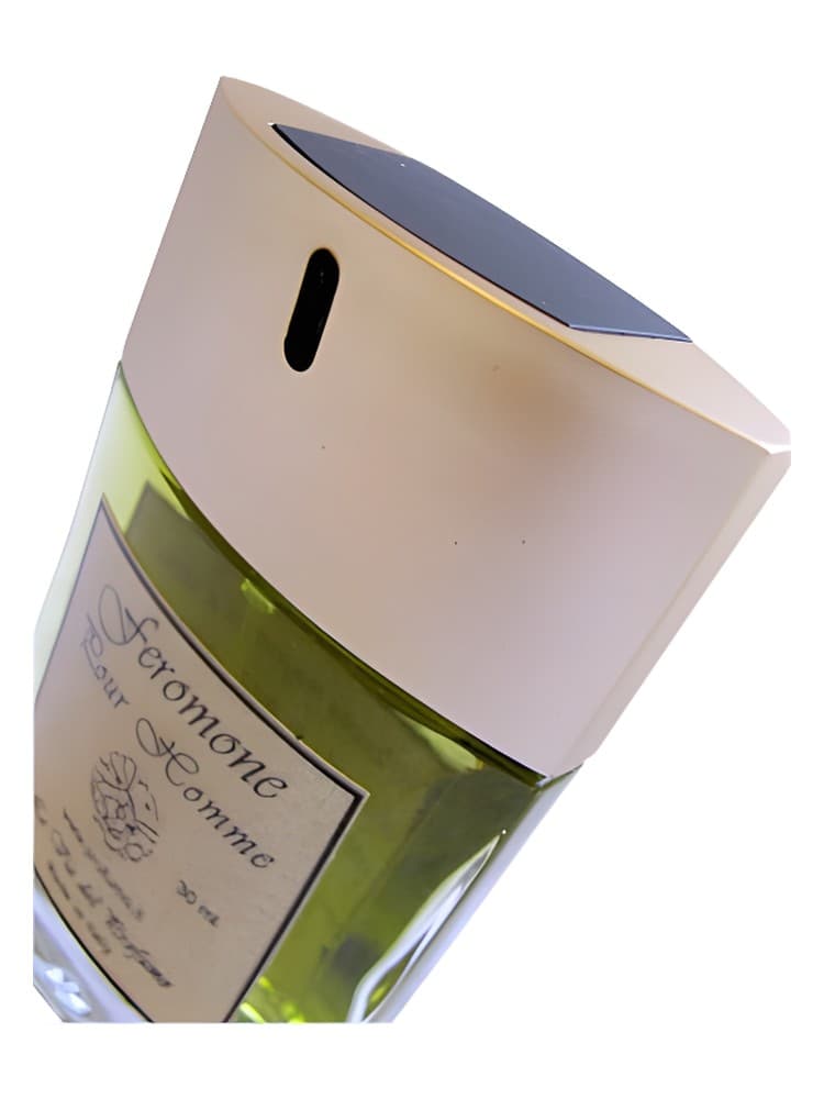 Feromone pour homme Pheromone for man