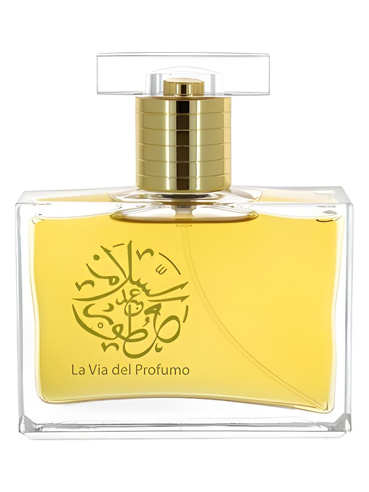 Oud Caravan No 2