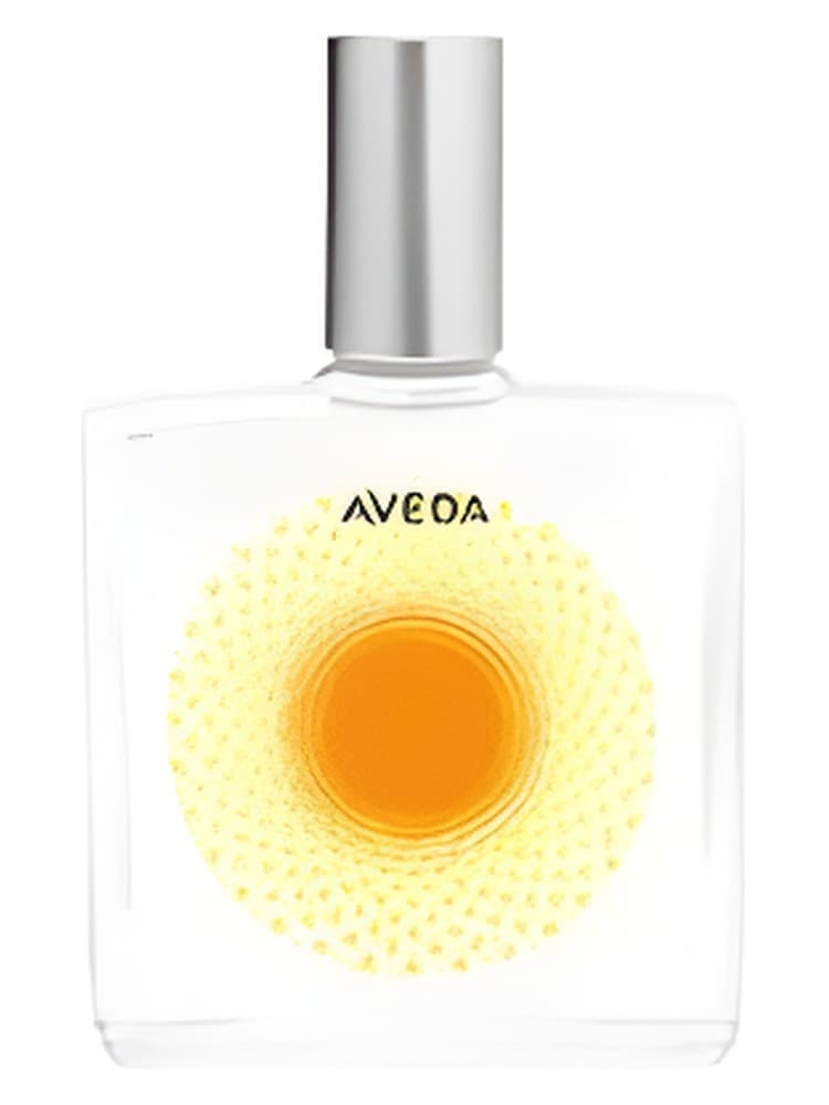 Desert Pure Fume Dune Primrose