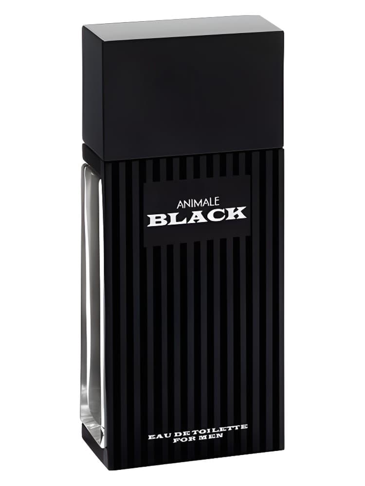 Animale Black
