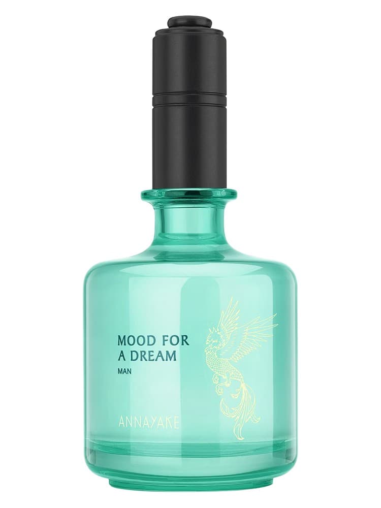 Mood For A Dream Man