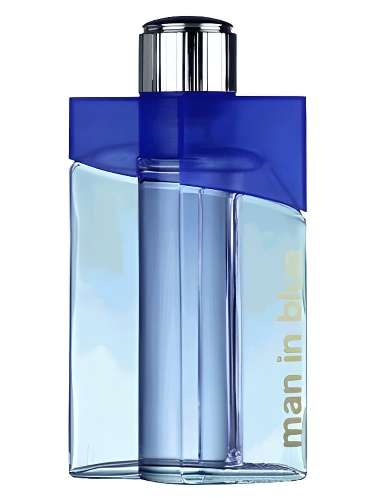 Aubusson Man in Blue