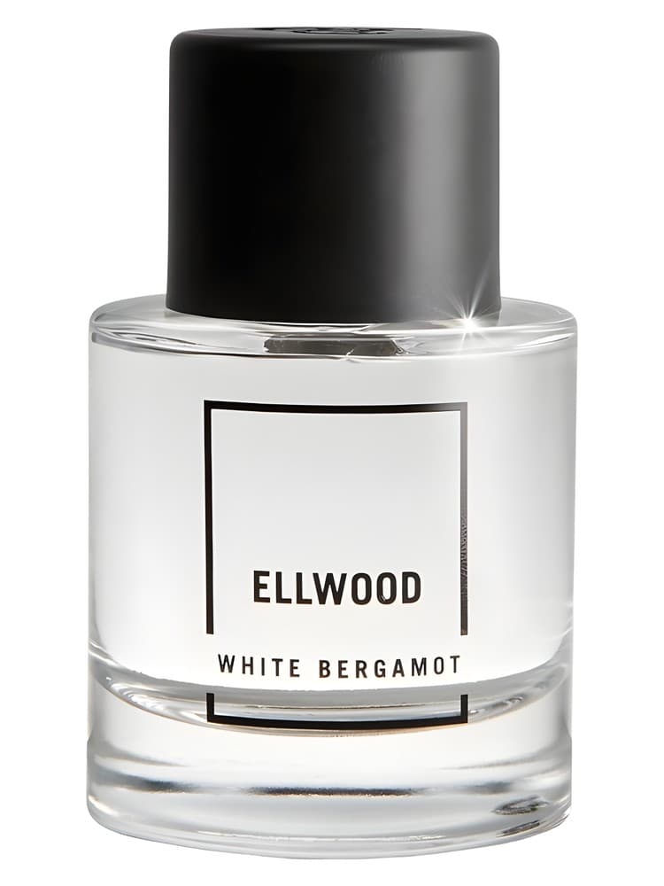 Ellwood White Bergamot