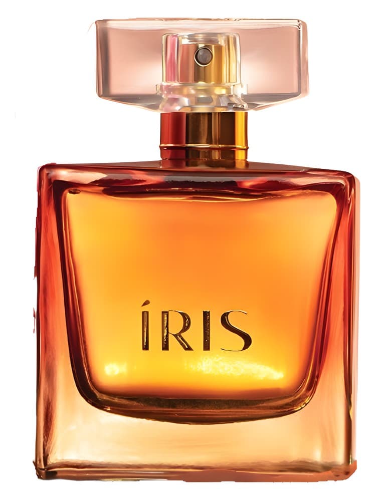 Iris
