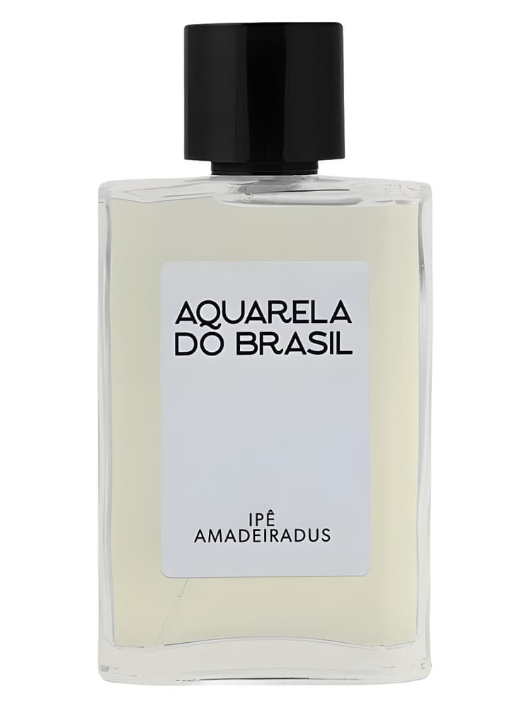 Ipe Amadeiradus