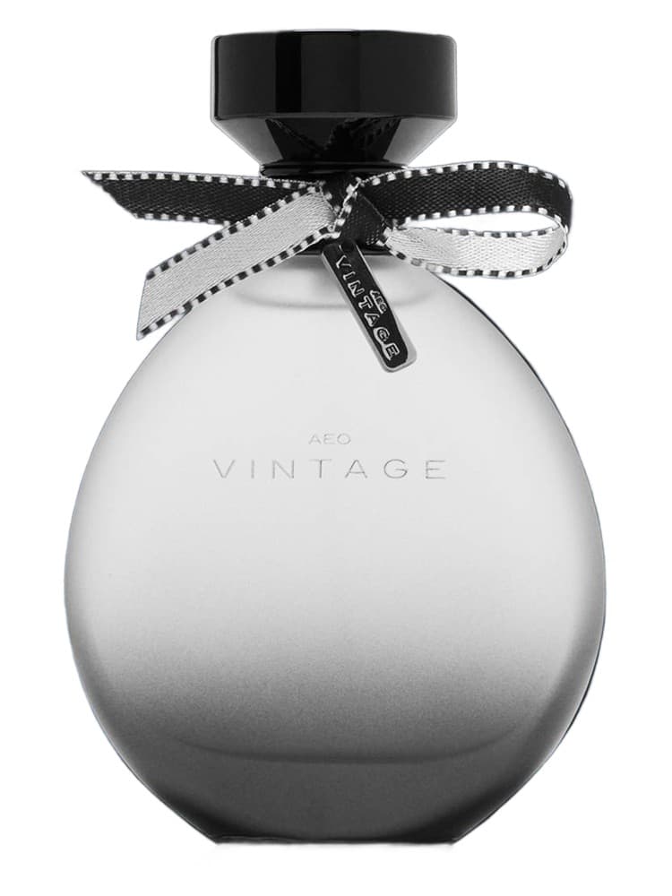 American Eagle AEO Vintage