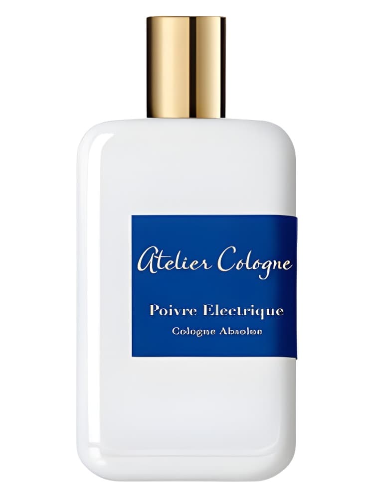 Poivre Electrique