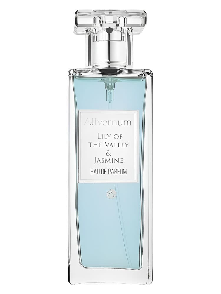 Lily of The Valley Jasmine