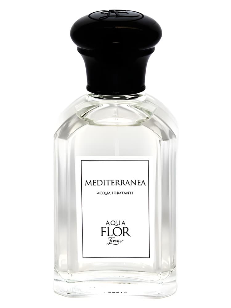 Mediterranea