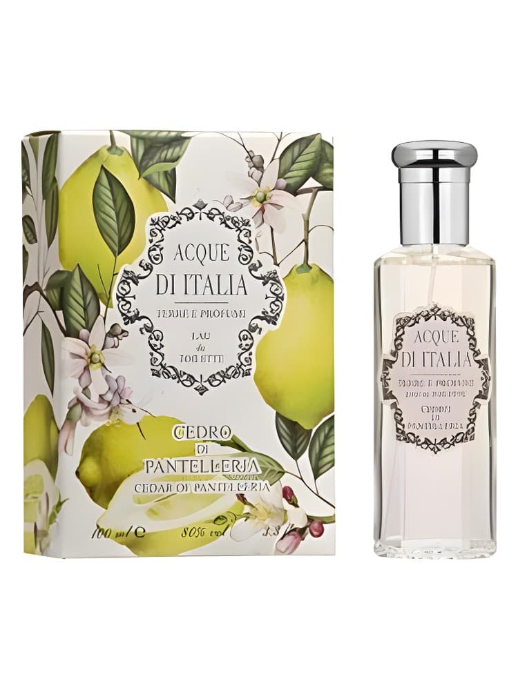 Cedro di Pantelleria