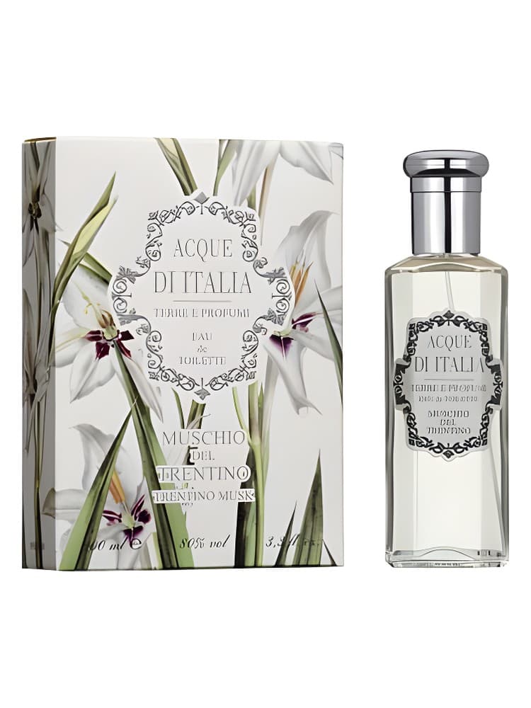 Muschio del Trentino