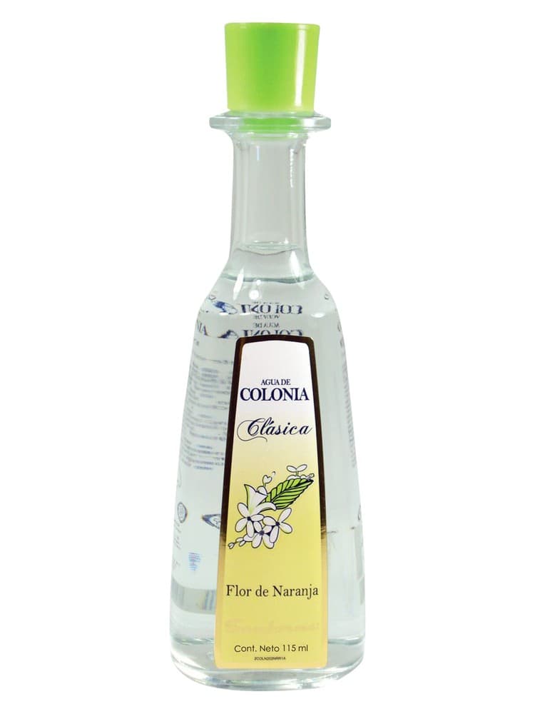 Clasica flor de Naranja