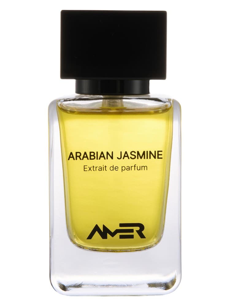 Arabian Jasmine