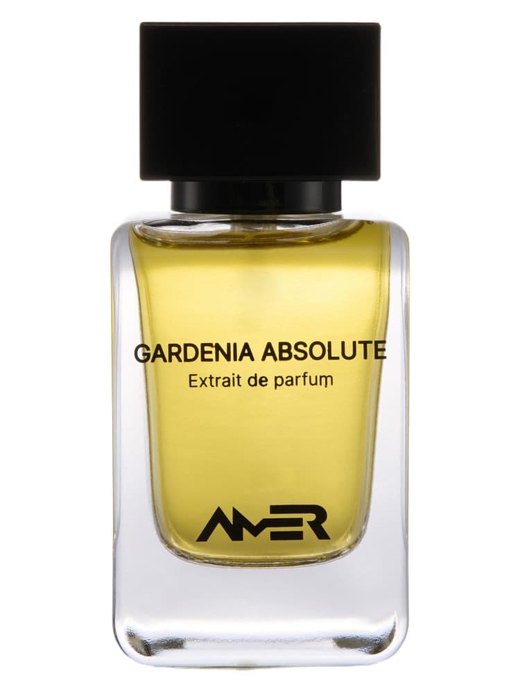 Gardenia Absolute