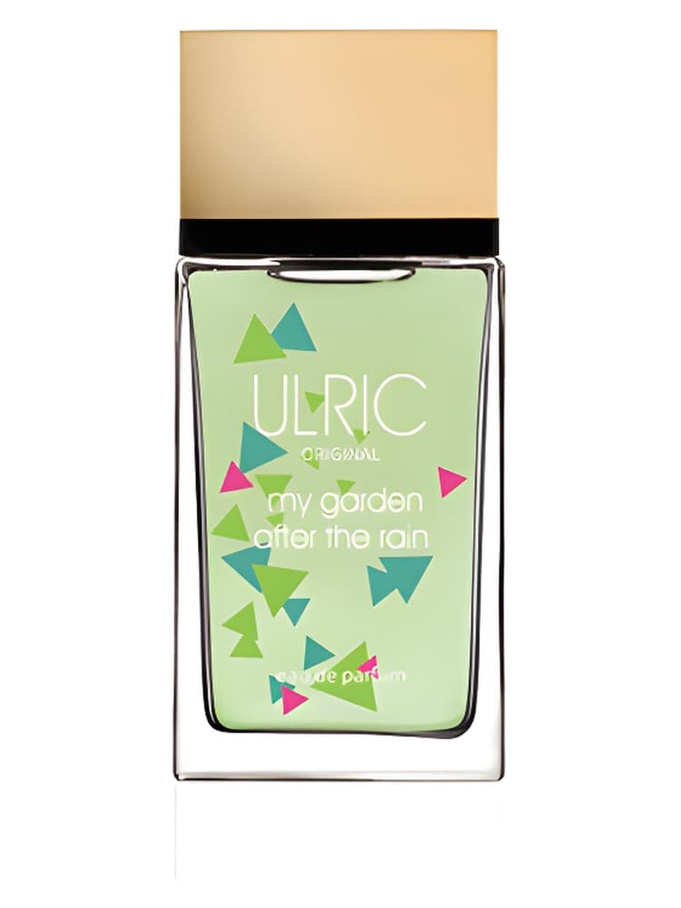 My Garden After The Rain