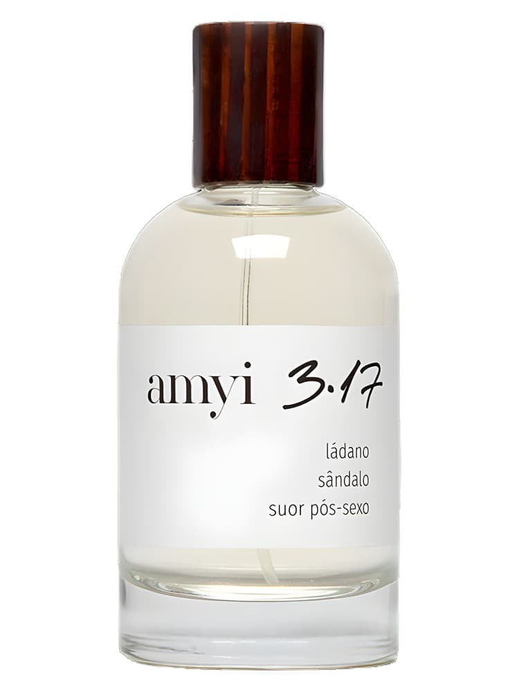 Amyi 3 17