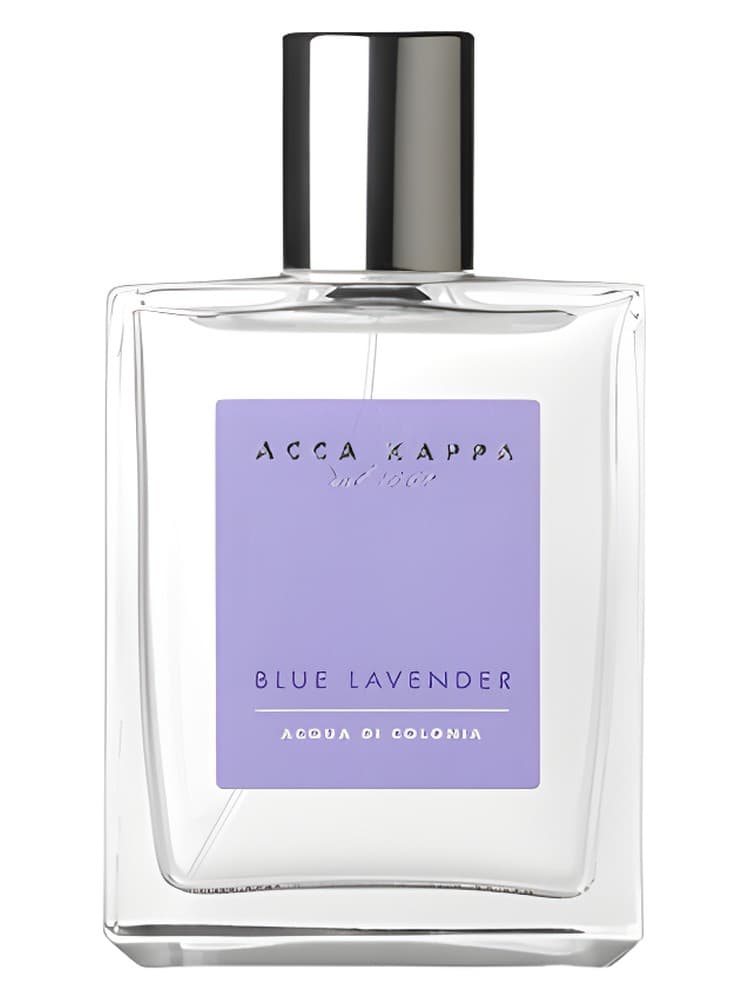 Blue Lavender