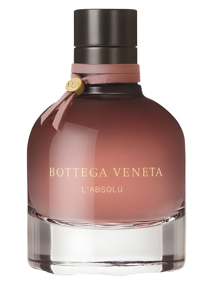 Bottega Veneta L Absolu
