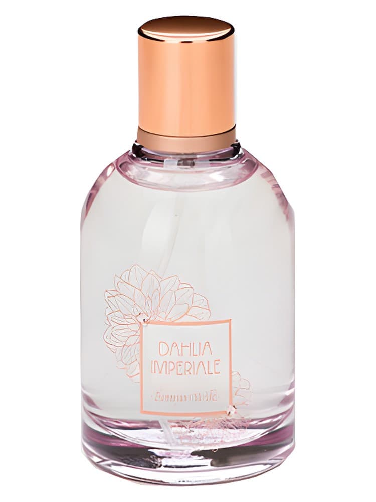 Dahlia Imperiale