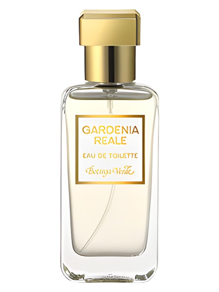Gardenia Reale