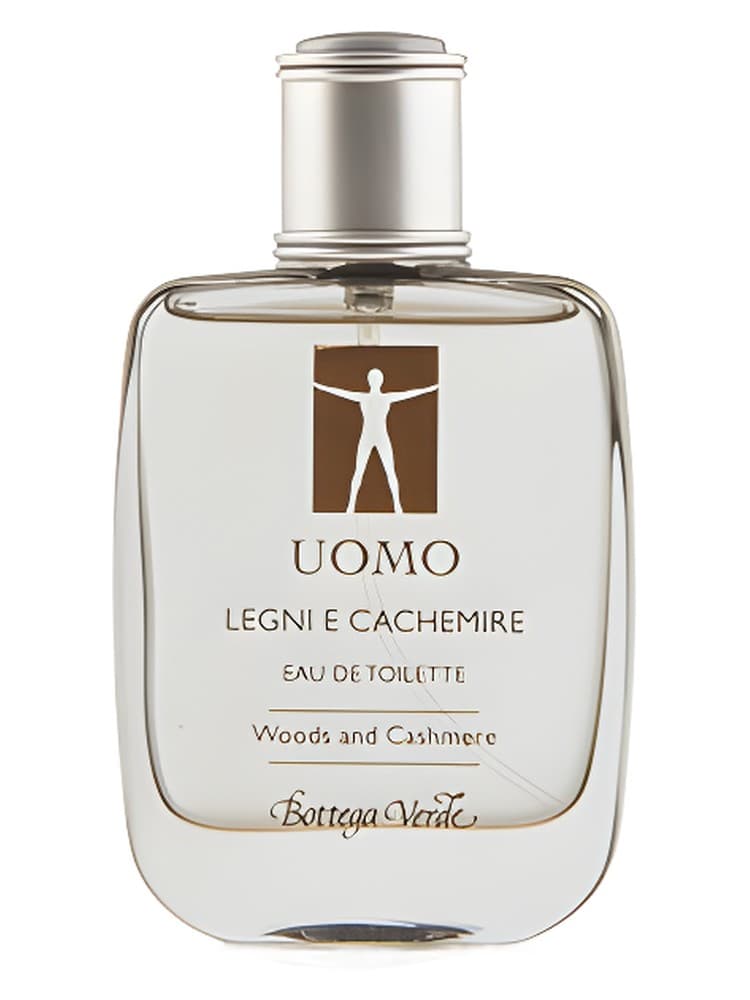 Uomo Legni e Cachemire
