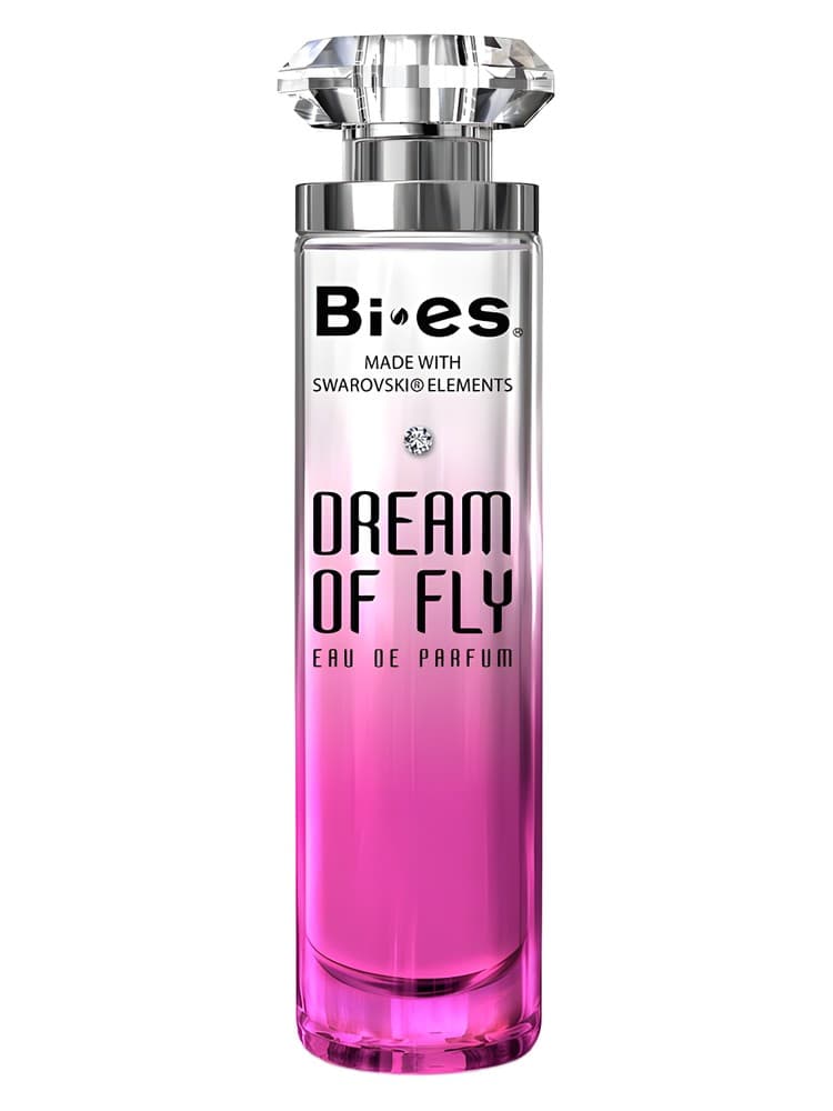 Dream of Fly
