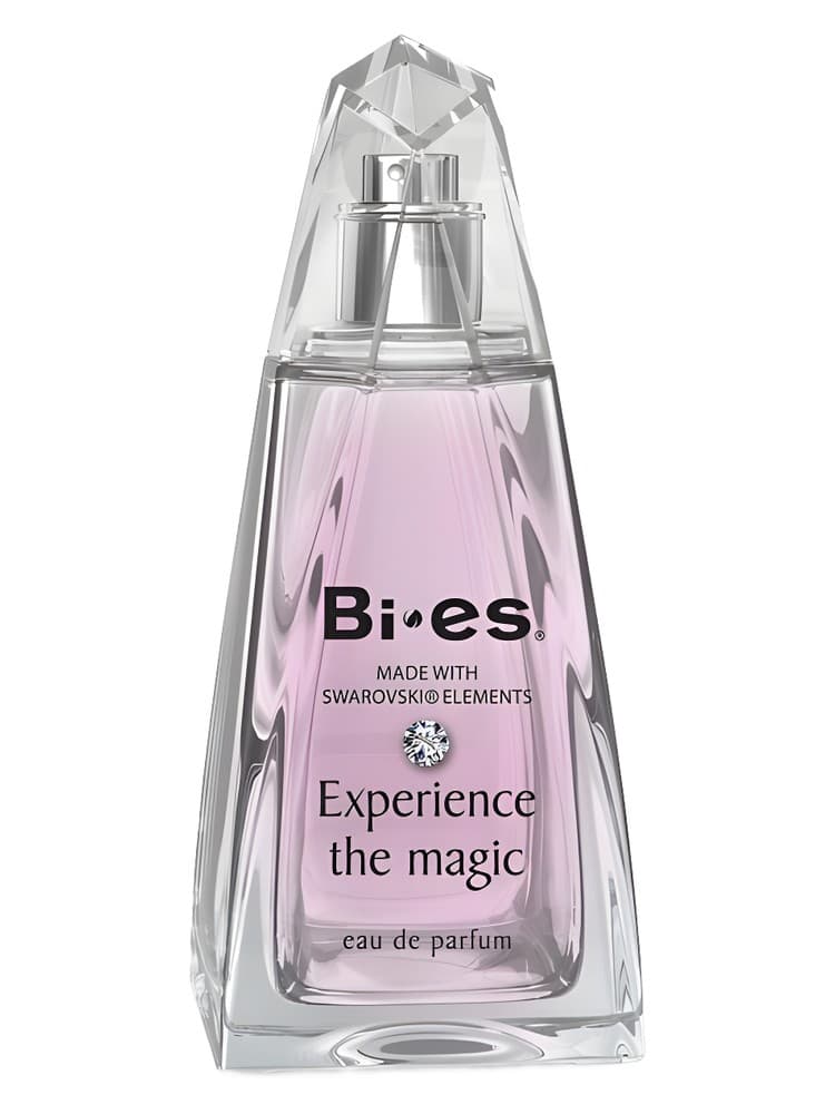 Experience The Magic