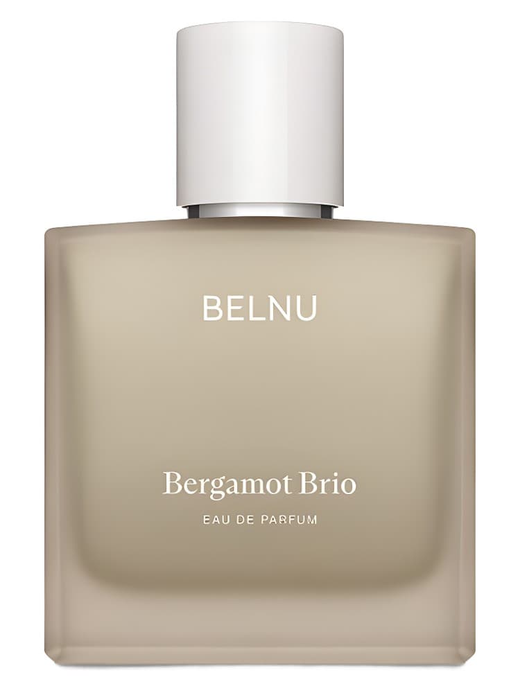 Bergamot Brio