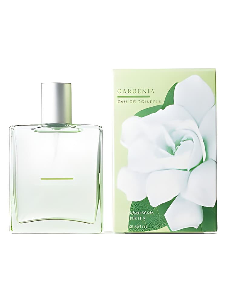 Gardenia